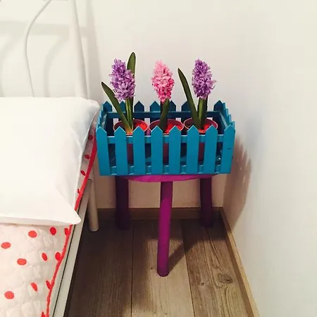 Biba Apartamento *